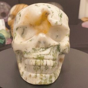 Tree Agate Druzy Skull